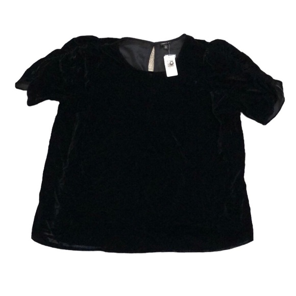 torrid Tops - NWT Torrid Velvet Short Sleeve Top Sz 3X Black Party Holiday Classic Neutral